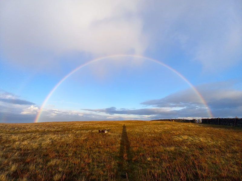 Rainbow on Pendle